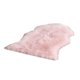 thumbnail image 1 of Advancent Alfombras de área fáciles de limpiar: alfombrilla no estática Make Cleanup Pink Decoración del hogar, 1 of 6