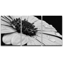 wall26 Canvas Print Wall Art Set Black & White Daisy with Dew Droplets Floral Botanical Photography Realism Rustic Scenic Dramatic Grayscale Dark for Living Room, Bedroom, Office - 16"x24&qu