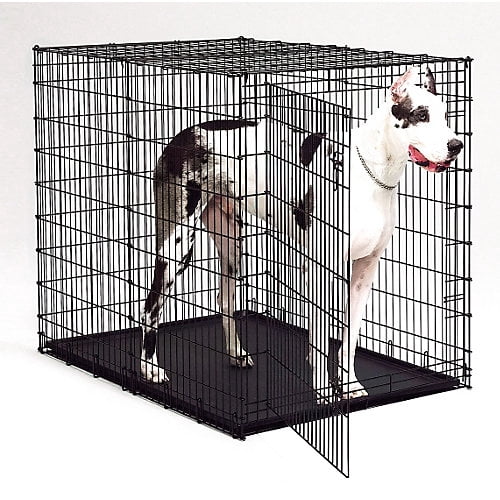big dog crate walmart