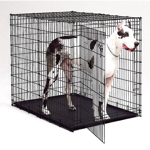 Midwest Big Dog Crate, Black, 54