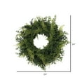 thumbnail image 5 of Vickerman 24" Artificial Green Buckler Fern and Grass Wreath., 5 of 5