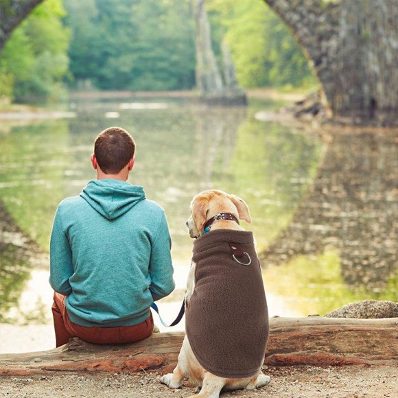 CRILSTYLEO Sin Para Perros Color Café Ropa Cálida Y Atractiva Para Mascotas