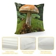 thumbnail image 4 of GOSMITH  Throw Pillow Cover Mushroom Disc Fungus Forest Screen Fungus 1, 4 of 5