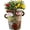 Retro, variant on Picasso Abstract Flower Pot, Crafted Planter with Drainage Holes,Interesting Colorful Planter with Human ,for Indoor and Outdoor Botanical decor (Tears)