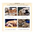 thumbnail image 2 of Juguetes De Cuerda Para Perro Morder Paquete De 7 Piezas Malubero, Multicolor, 2 of 5
