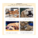 thumbnail image 2 of Juguetes De Cuerda Para Perro Morder Paquete De 7 Piezas Malubero, Multicolor, 2 of 5