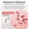 Super Potent Hawthorn Berry Extract Capsules Hawthorn Berry