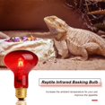 thumbnail image 4 of czcpp-75W Ampoule Chauffante Infrarouge pour Reptiles, Lumière Rouge UVA pour Reptiles et Amphibiens, Dragon Barbu, Tortue, Gecko, Serpent, Lézard, Caméléon - Lot de 2, 4 of 4
