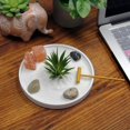 thumbnail image 4 of ERDS-Mini Zen Garden Kit for Desk with Rake, White Sand, White Round Base, Salt Rock, River Rocks and Air Plant, (6Lx6W Round W), 4 of 4