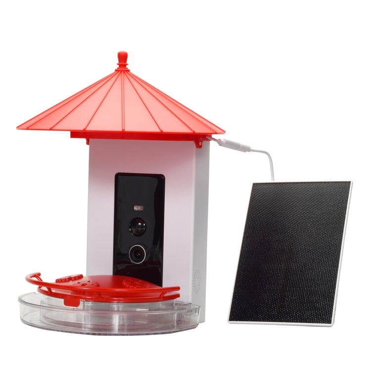 Bird Feeder with Camera Solar Powered AI Tech for Breed Recognition Detection for Live Photo & Video