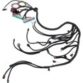 Wiring Harness Swap, LS Swap Standalone Wiring Harness Drive By Wire