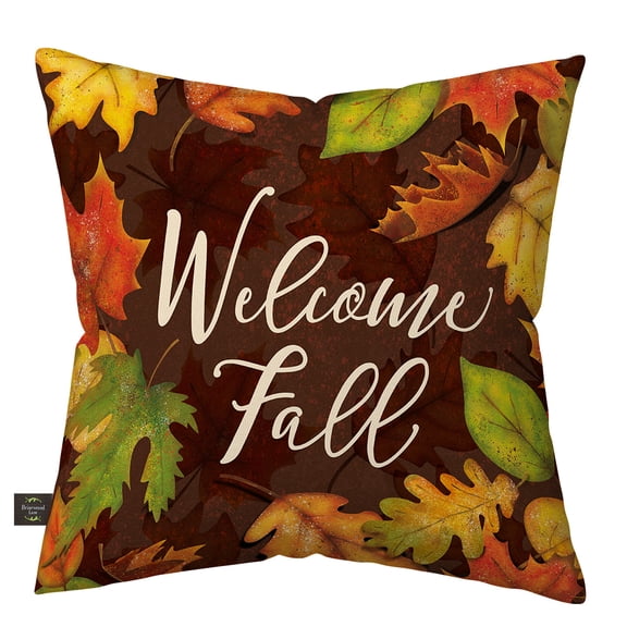 Briarwood Lane Fall Indoor/Outdoor Pillow 17x17 Leaf Toss For Fall Pillow