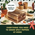 Indoor Pepper Seed Starter Kit Pepper Growing Kit with 4 NonGMO Hot