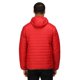thumbnail image 2 of Regatta - Chaqueta con Capucha Arcadia II para Hombre (Rojo Luminoso/Negro Azabache) Regatta UTRG3745_luminousredjetblack, 2 of 3