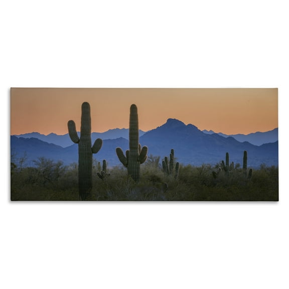 Stupell Industries Contrasting Desert Sunset Landscape & Nature Photography Wrapped Canvas Art Print Wall Art, 24 x 10