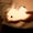 White1309, variant on Bunny Silicone Night Light Tap Control | Cute White Bedside Lamp | Soft Eye-Caring Glow, Flexible Touch, Squeezable Comfort | Bedroom Nursery Sleep Décor | 5.78"x3.85"x3.54", 0.36lb