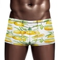 thumbnail image 3 of Watercolor Yellow Fruit Lemon Men's Mesh Boxer Briefs Cooling Breathable Sports Underwear Vertical Fly, 3 of 5