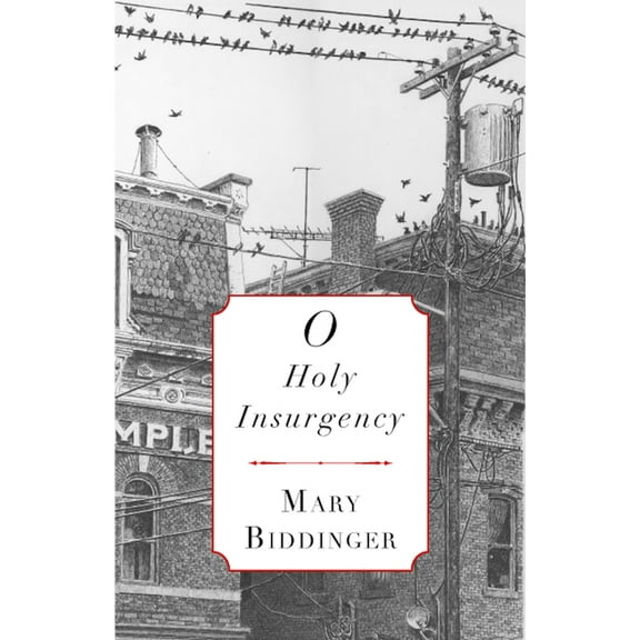 O Holy Insurgency (Paperback)