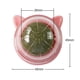 thumbnail image 3 of Bola de hierba gatera giratoria para gatos naturales, bolas para lamer, aperitivos de hierba gatera molares (rosa), 3 of 5