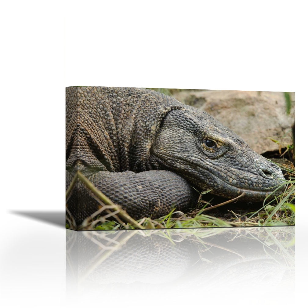 Komodo Dragon, Nusa Tenggara, Indonesia - Contemporary Fine Art Giclee