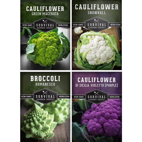 Cauliflower Seeds 4 Variety Pack - Heirloom Full Sun Biennial Vegetable