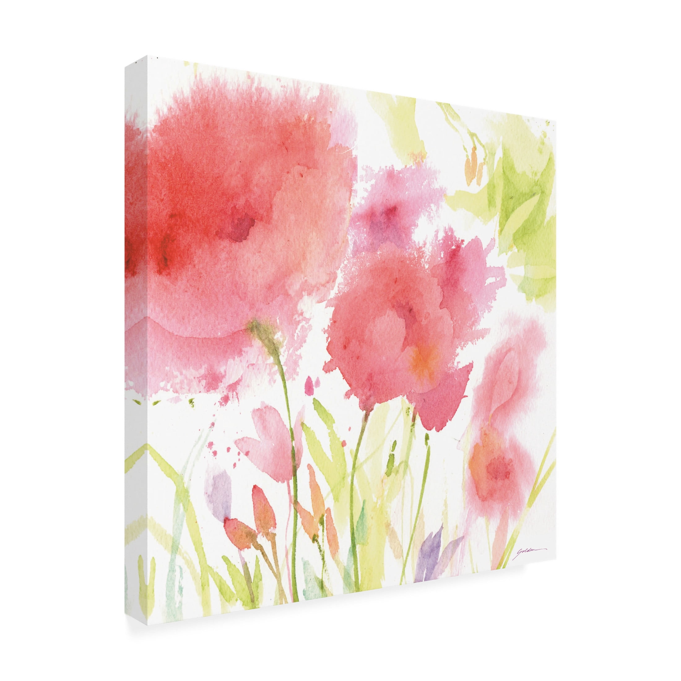 Canvas Wall Art - Sheila Golden 'Barbs Garden' Wall Art for Living Room, Bedroom, or Office Décor by Trademark Fine Art - 14 x 14 Inches