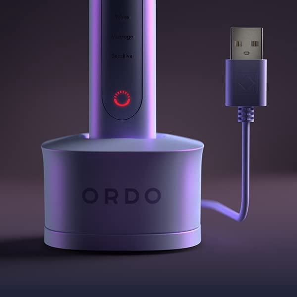 Ordo Sonic Electric Toothbrush Advanced Smart Tech with 4 Brushing Modes Fast Rechargeable Battery and Silicone-Polishing Element USB Charger for Adults Purple Pearl Violet