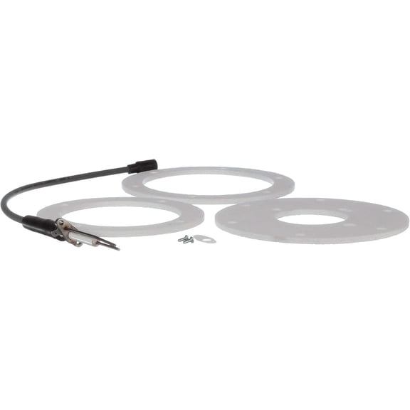 AO Smith 100191120 - K,SPARK IGNITER ASSY,SERIES 200/201