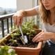 thumbnail image 5 of Kit de Herramientas de Jardinería de Acero Inoxidable con Paleta Cultivadora para Plantar En Interiores y Exteriores., 5 of 6