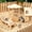Style B, variant on Threns 4 Pack Hamster Play Wooden Platform for Dwarf Syrian Hamsters Gerbils Mice Degus or Other Small Pets, Wooden Hamster Climbing Toy with Platform Decor