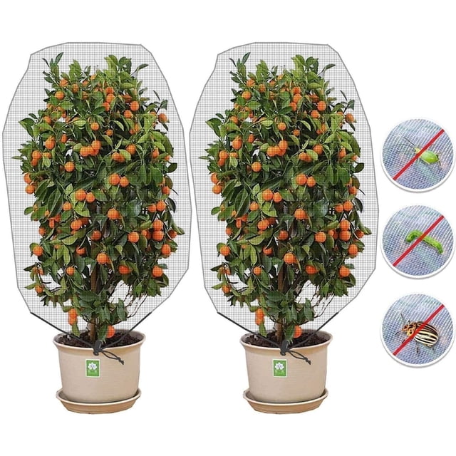 Red para árboles frutales (1 x 1,5 m / tamaño de malla 0,8 mm), red protectora contra insectos, paquete de 2 redes protectoras para plantas con cordón, red para jardín