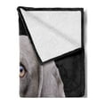 thumbnail image 2 of Weimaraner Soft Flannel Fleece Throw Blanket, Close-up Brownish Colored Dog Head Portrait on Plain Backdrop, Cozy Plush for Indoor and Outdoor Use, 60" x 80", Charcoal Grey and Dimgray, by Ambesonne, 2 of 5