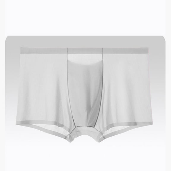 Rohuuque Men's Ice Silk Boxer Briefs Ultra-Thin Boxer Briefs Panties Invisibles Men Boxer Shorts Underwear Breathable Underpants Gray