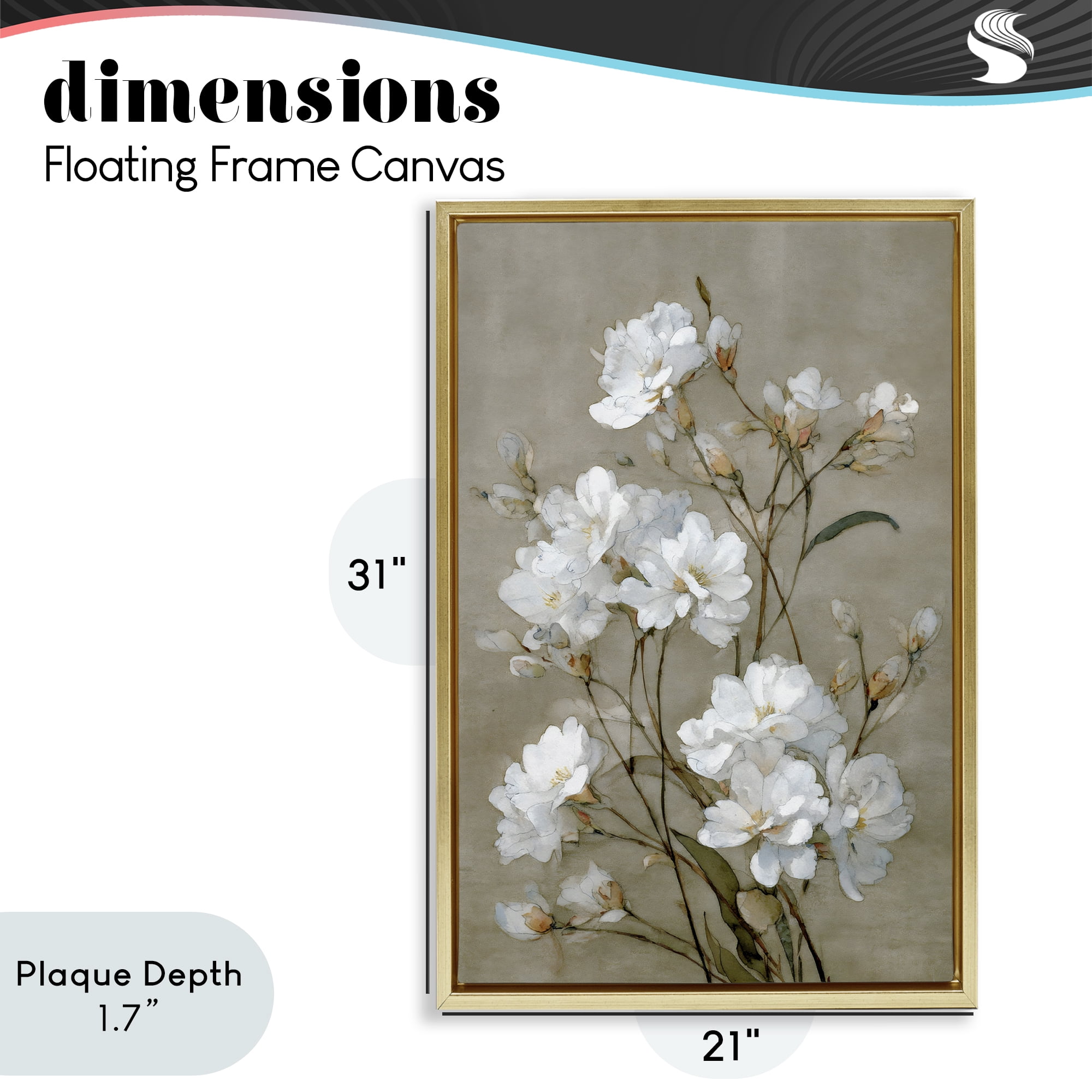 Stupell Industries Aged White Botanical Study Gold Framed Floater Canvas Wall Art, design by Petal Prints Design