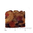 thumbnail image 4 of Jane Parker Fruitcake Bourbon & Rum Fruit Cake 40 Individually Wrapped Slices in a Decorative Holiday Tin, 4 of 7