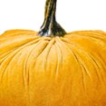 thumbnail image 3 of Calabaza De Terciopelo Artificial Calabaza de cosecha artificial hecha a mano para otoño Halloween Acción de Gracias (amarillo), 3 of 8