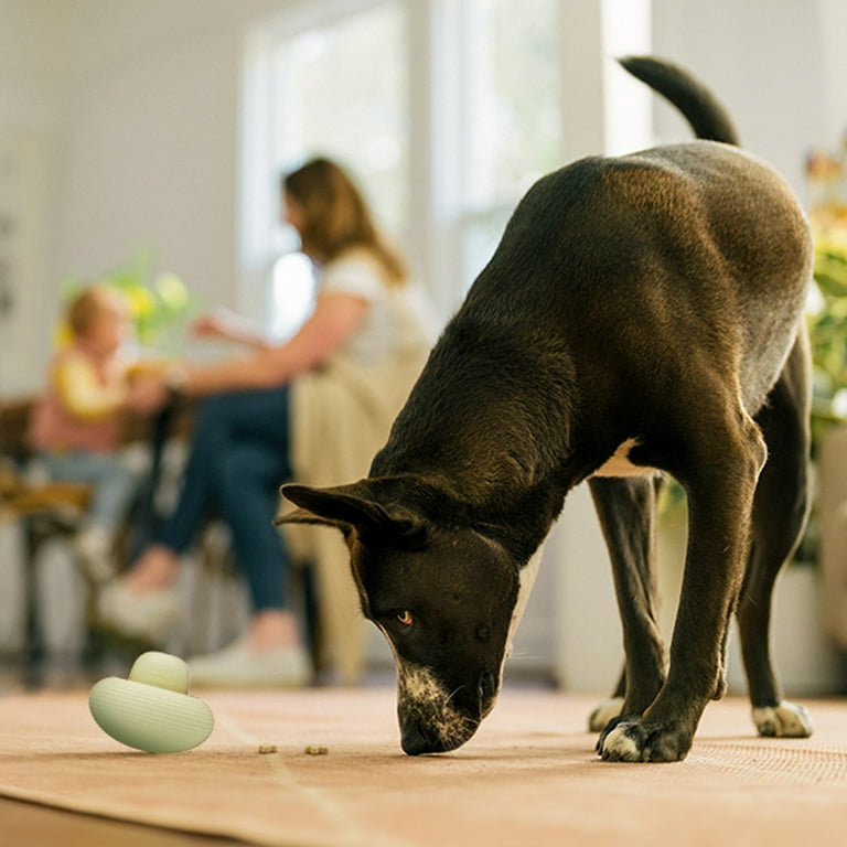 Earth Rated Nibbler Dog Toy, Treat Dispensing Enrichment Toy for