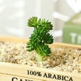 thumbnail image 7 of 1Pc Artificial Succulent Plant Flocking Flower DIY Home Office Bonsai Decoration, 7 of 7