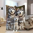 thumbnail image 4 of Cozy Husky Family Flannel Blanket – Soft & Warm Siberian Husky Print with Adorable Puppies, Perfect for Bedroom or Sofa Decor, All-Season Comfort, Machine Washable, Contemporary Style, Mixed Colors, 4 of 7