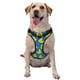 thumbnail image 1 of Fotbe Rubber Duck Arnés para Perro con Estampado –Chaleco Ajustable Acolchado con Asa de Control para Perros Grandes-Medium, 1 of 6