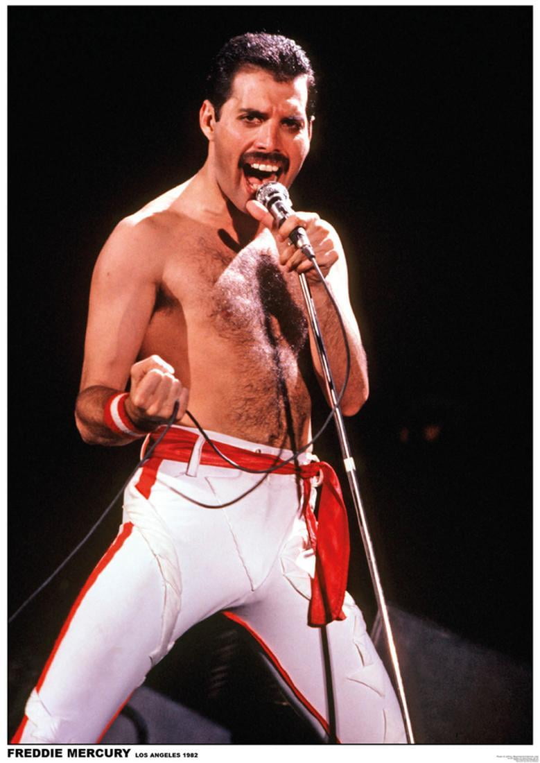 Queen Band Freddie Mercury Live On Stage Color  8x10 Glossy Photo