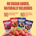 thumbnail image 2 of Smash Foods Gluten-Free Vegan Snack Bites (Variety), Protein & Energy, 8-Pack, 2 of 6