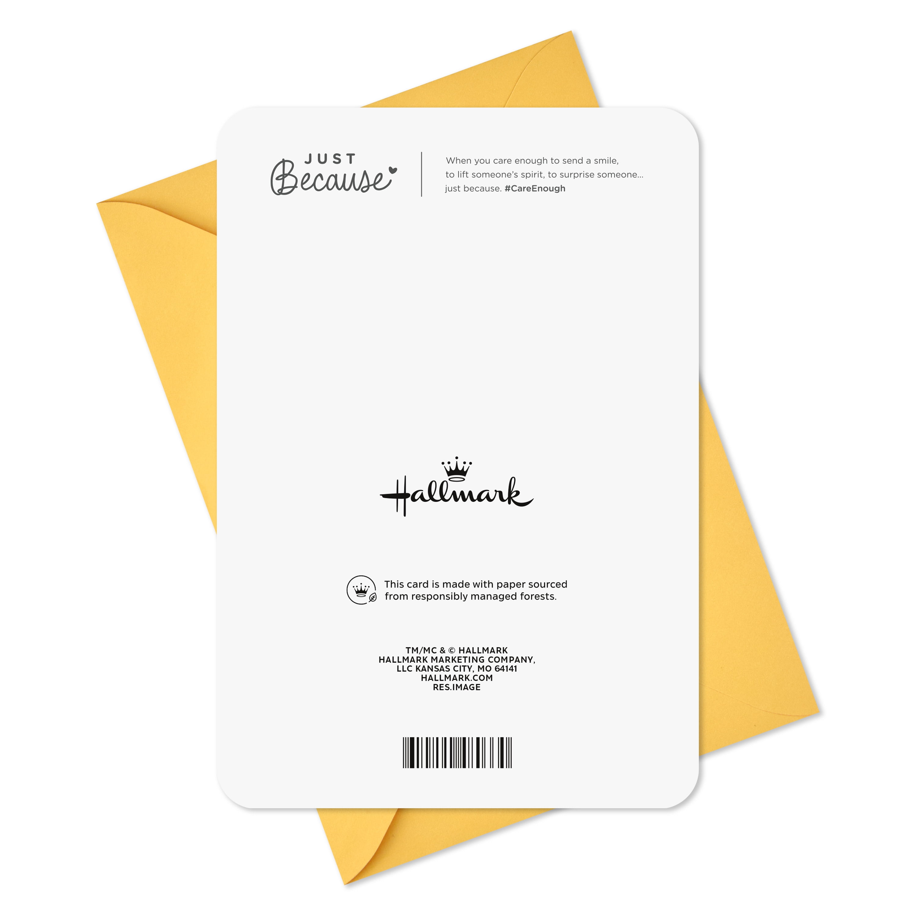 Hallmark Just Because Blank Card (Smiling Golden Retriever)