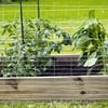 Expert Gardener Galvanized Steel Rabbit Guard Wire Fence, 24" x 50'