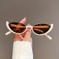 thumbnail image 5 of Stylish Cat Eye Sunglasses with Anti-Reflective Gradient Lens - Perfect for Hiking, Beach & Casual Wear for Men and Women, 5 of 15