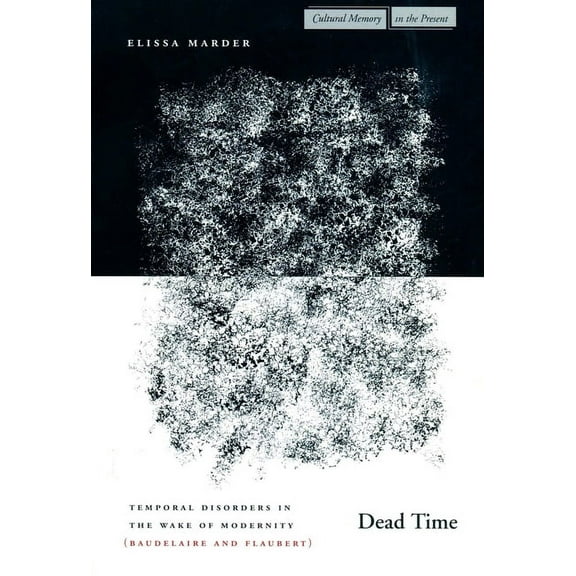 Cultural Memory in the Present Dead Time: Temporal Disorders in the Wake of Modernity (Baudelaire and Flaubert), (Hardcover)