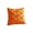 C-Orange, variant on Thanksgiving Fall Pumpkin Throw Pillow Covers, 18x18 Inch Floral Cushion Cases for Festive Home Sofa