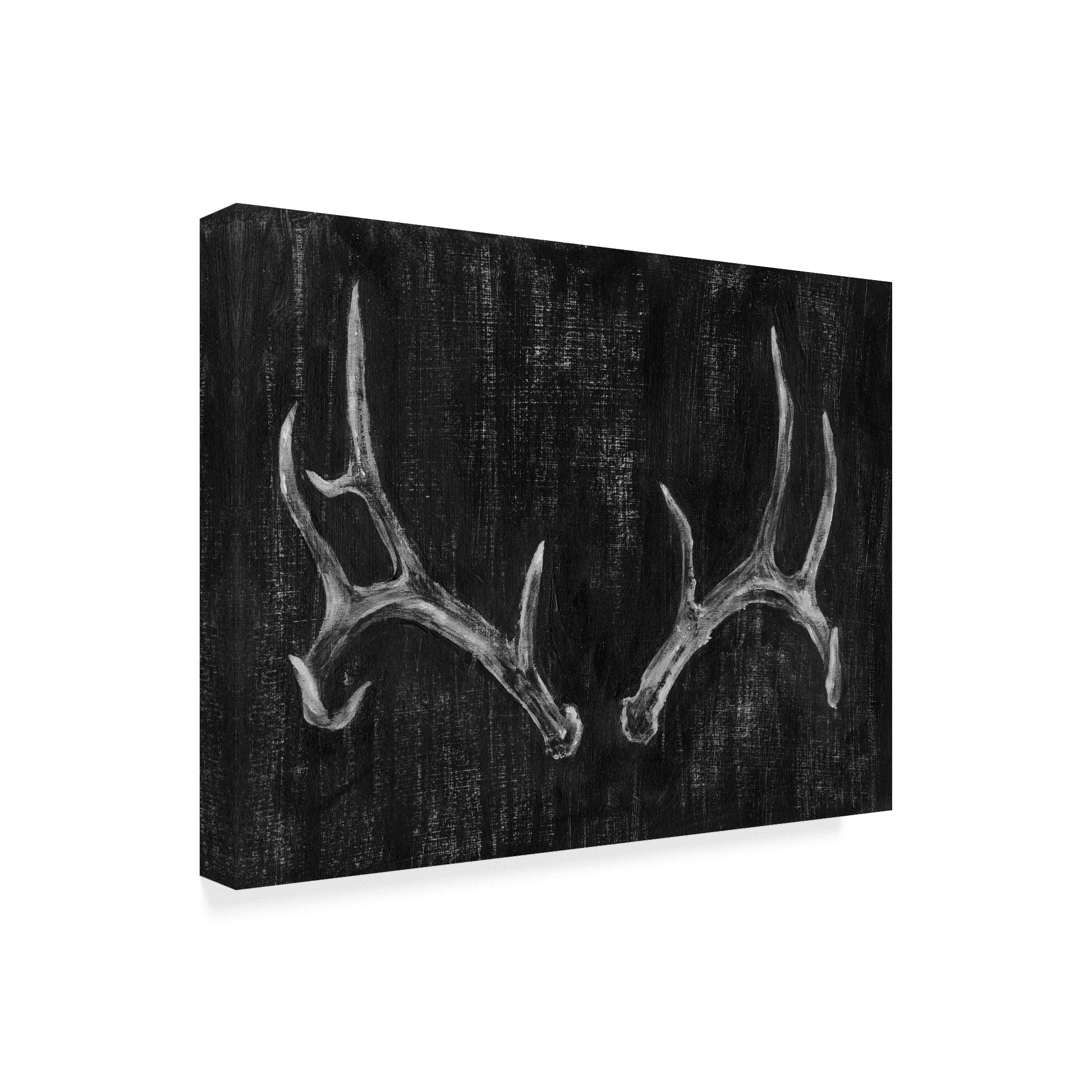 Trademark Fine Art 'UA CH Rustic Antlers II' Canvas Art by Ethan Harper