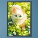 thumbnail image 1 of Pintura de diamante 5D DIY taladro redondo completo gato en decoración de jardín 40x60cm, 1 of 9
