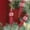 Red E, variant on YIMWNYI 6Pcs Christmas Tree Pendant Set, Christmas Hanging Decorations, Shatterproof Ornaments, Festive Holiday Decor, Plastic Christmas Balls for Tree, Vibrant Multicolor Holiday Accents